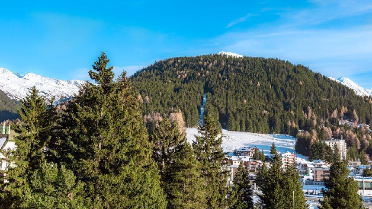 davos (5)